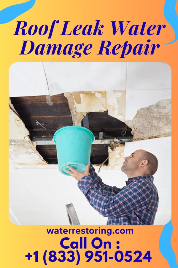 Roof Leak Water Damage Repair in Fort Lee, NJ